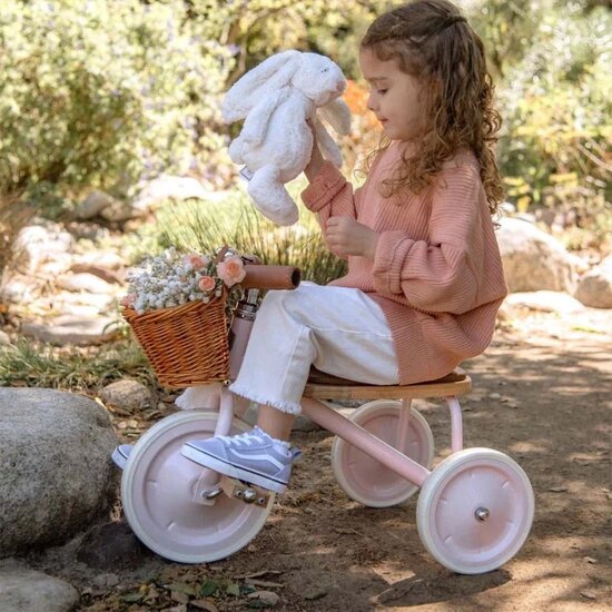 Banwood Trike - Pink